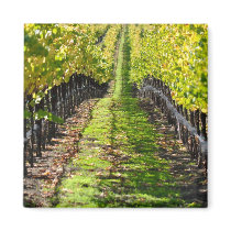 Napa Valley California Grape Vineyard Fridge Magnet