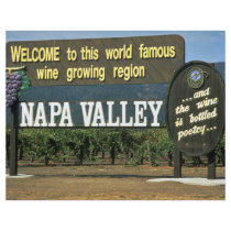 Napa Valley, California, USA Full Color Flyer