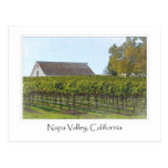 Napa Valley California Vineyard and Barn Post Card