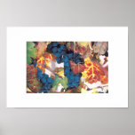 Napa Valley Grape Vine, Vineyard posters