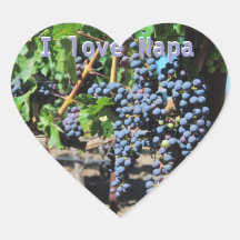 Napa Valley Vineyard Sticker