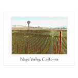 Napa Valley Vineyard with Windmill Postcards