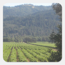 Napa Valley Vineyards I Sticker