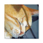 NAPPING CAT: I LIVE TO NAP REFRIGERATOR MAGNET