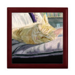 Napping in the Sun Keepsake Box