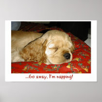 Napping Posters