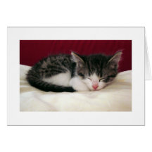 Nappy Time Kitten Card