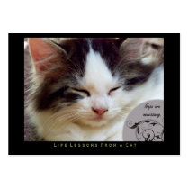 Naps Life Lessons From a Cat ACEO Art Trading Card