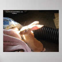 Naptime - Customized - Customized Poster