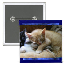 "Naptime" Kittens Button