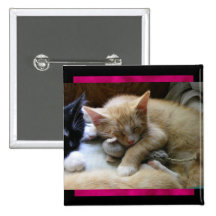 "Naptime" Kittens Pinback Button