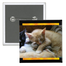 "Naptime" Kittens Pinback Button