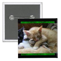 "Naptime" Kittens Pinback Buttons