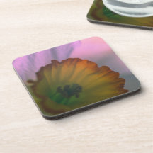 Narcissus Petals - white yellow flower photography Coasters