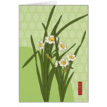 Narcissuses Card