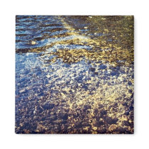 Narraguagus River Habitat for Atlantic Salmon Fridge Magnet