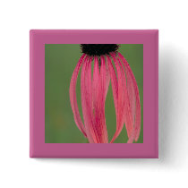 Narrow-leaved Coneflower Pins