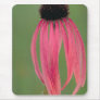 Narrow-leaved Coneflower Mousepads