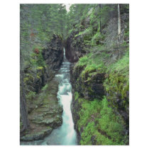 Narrow Path For Water Personalized Flyer