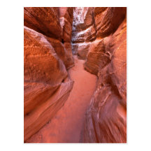 Narrow Path Post Cards