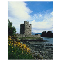 Narrow water castle, County Down, Ireland in Europ Custom Flyer