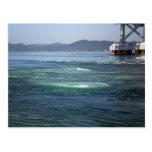 Naruto Whirlpool Postcards