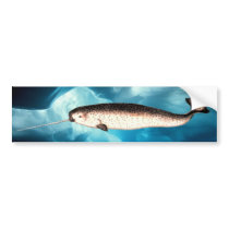 Narwhal Bumper Sticker