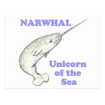 Narwhal unicorn of the sea postcards
