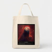 NASA - Cone Nebula bags