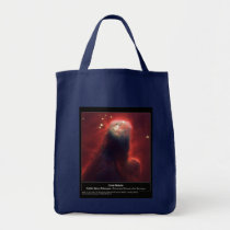 NASA - Cone Nebula bags