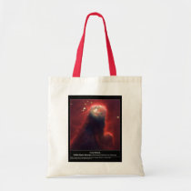 NASA - Cone Nebula bags