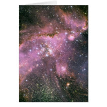 NASA NG346 CARD