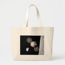 NASA Orion in Lunar Orbit Canvas Bags