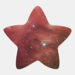 NASAs - Pink Pleiades Sticker