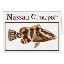 Nassau Grouper Card