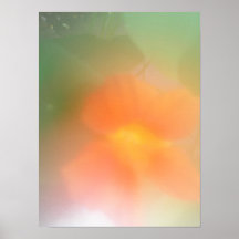 Nastersium Posters