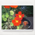 Nasturniums and 1964 Dodge 330 “EarthDayContest200 mousepads