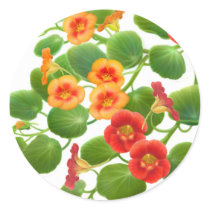 Nasturtium Garden Flowers Sticker