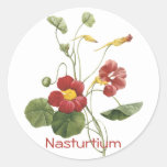 Nasturtium Stickers