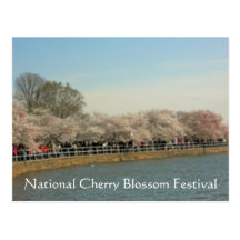 National Cherry Blossom Festival Washington DC 003 Post Card