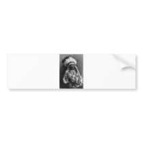 Native American Indian Vintage Portrait