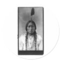 Native American Indian Vintage Portrait stickers