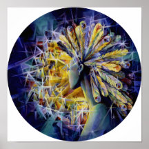 Native American Mandala Poster