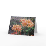 Native Flame Azalea Cards
