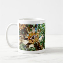 Native seed pods on dead bush coffee mug