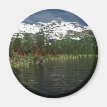 nativeamericans fridge magnets
