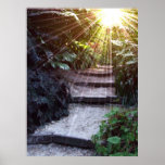 Natural Ascension Posters