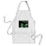 Natural Bridge, Pickett State Park, TN Apron
