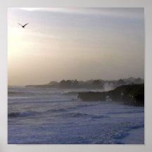 Natural Bridges sp 3 Print