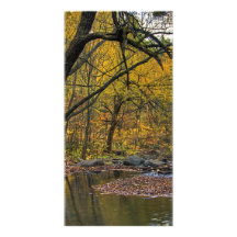 Natural Gold Photo Greeting Card